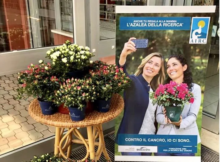 Un'azalea per la ricerca contro il cancro, noi ci siamo!