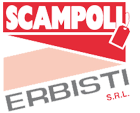 logo erbisti